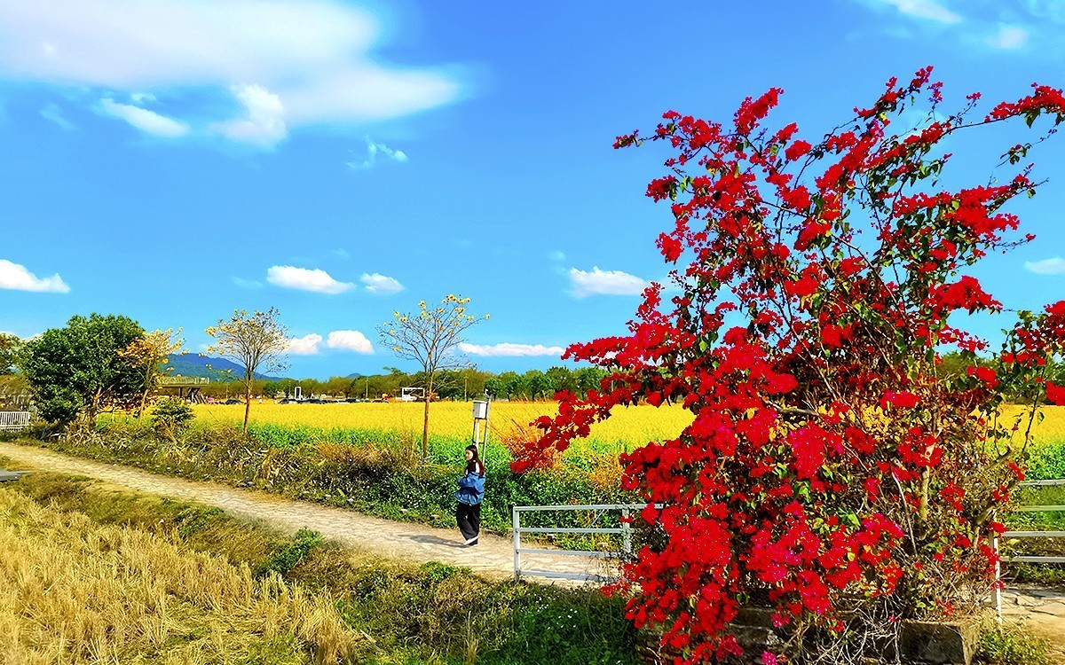 24077 ─ 乡村随拍[13]