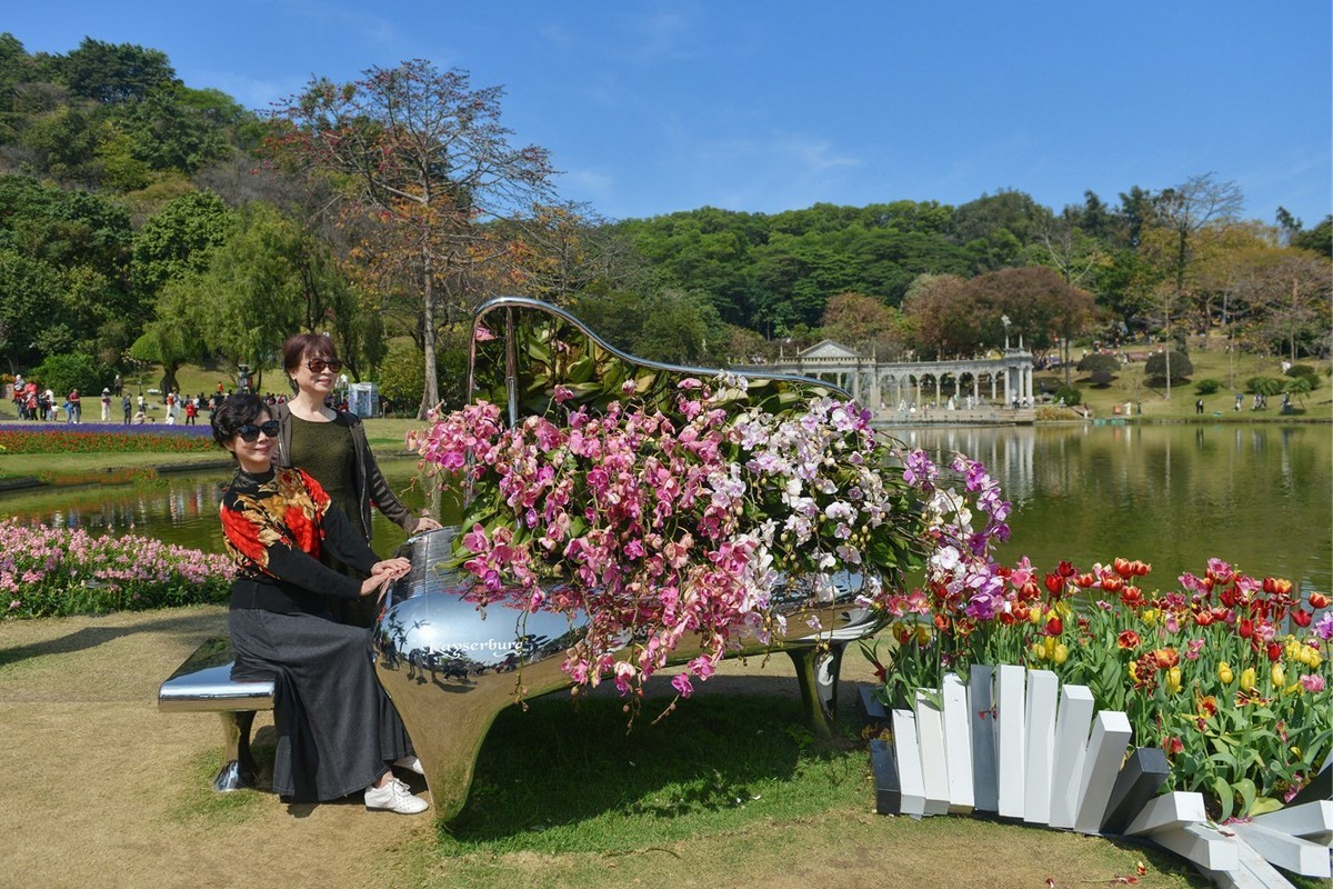七彩云台  听见花开
