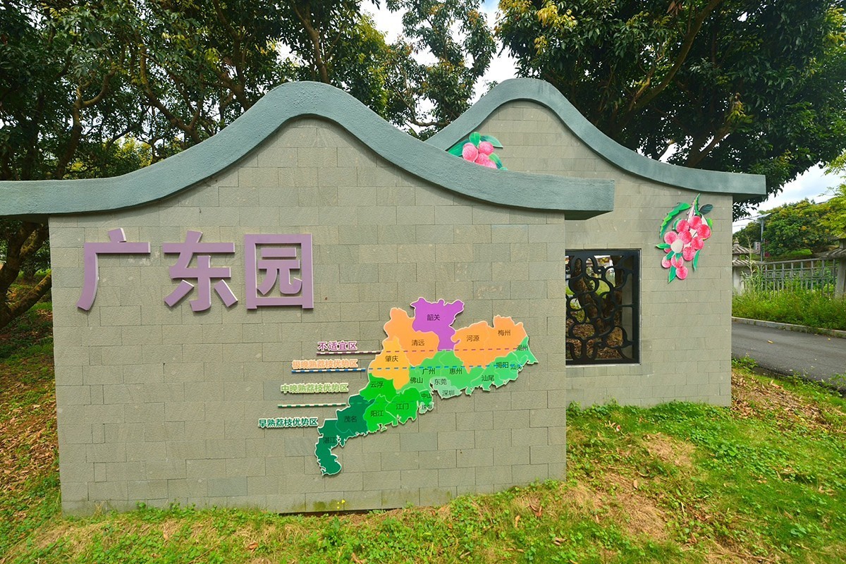 国家荔枝种质资源圃