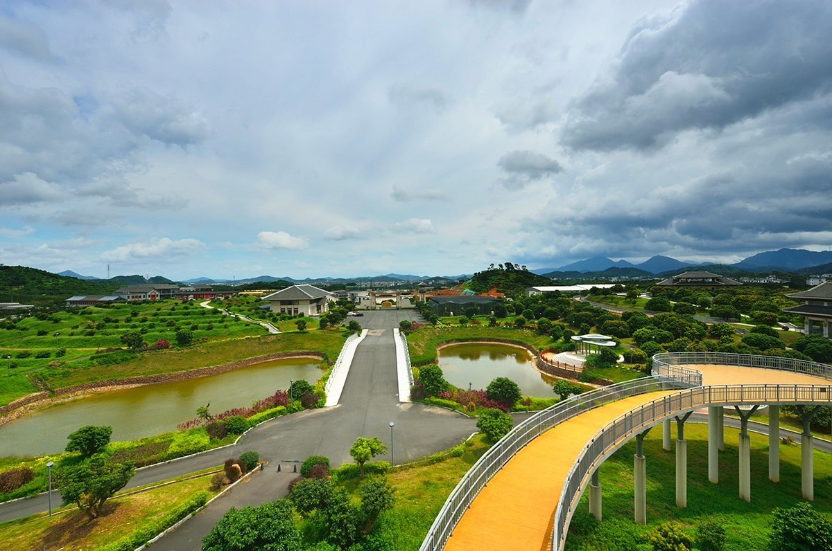 国家荔枝种质资源圃