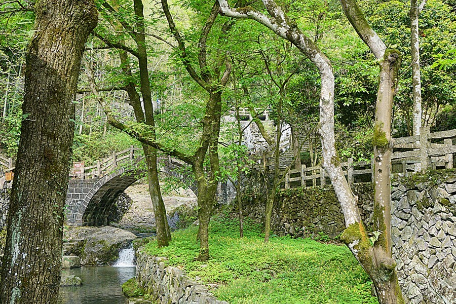 春游楠溪江-龙瀑仙洞景区（四）