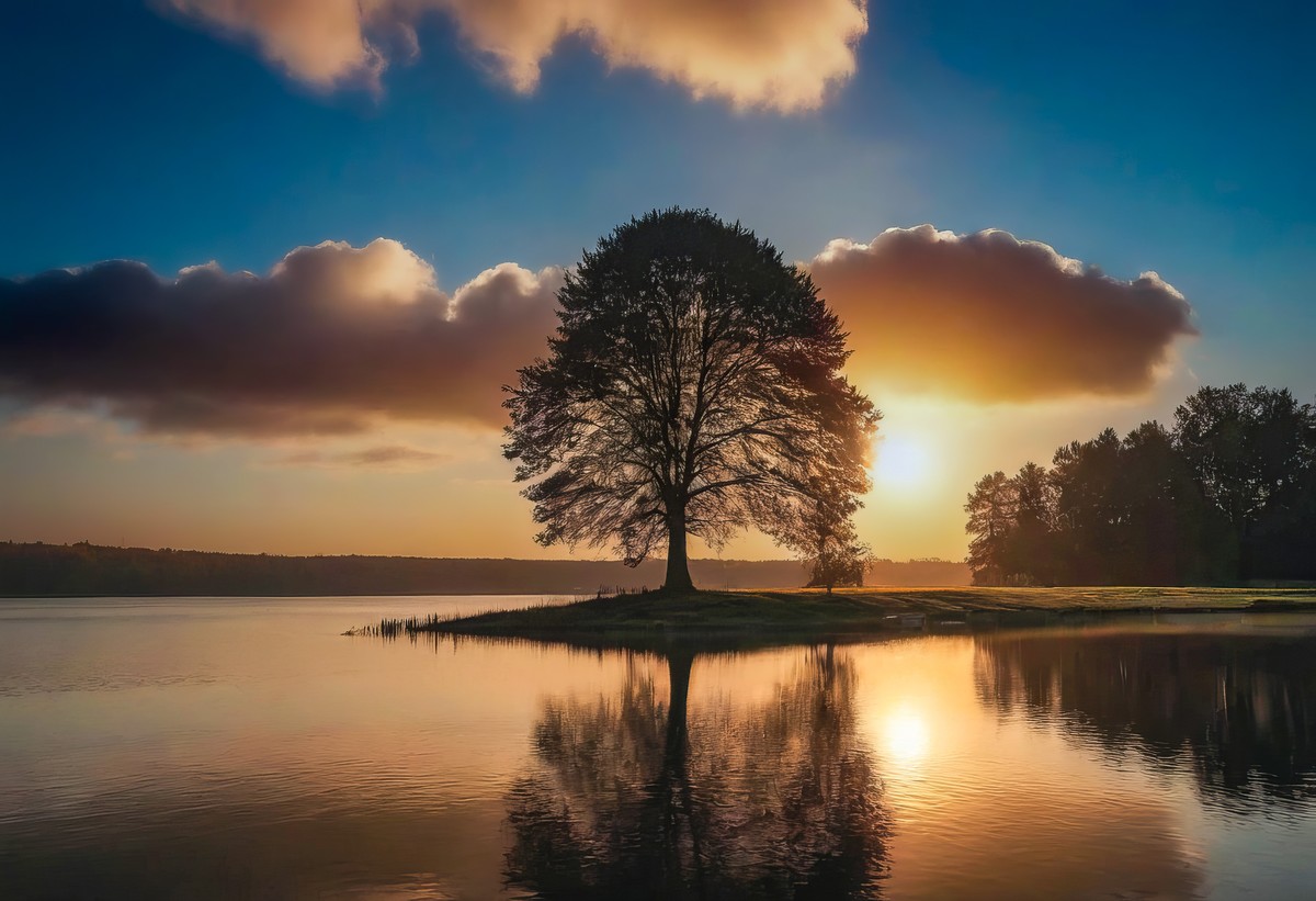 领略大自然的和谐之美