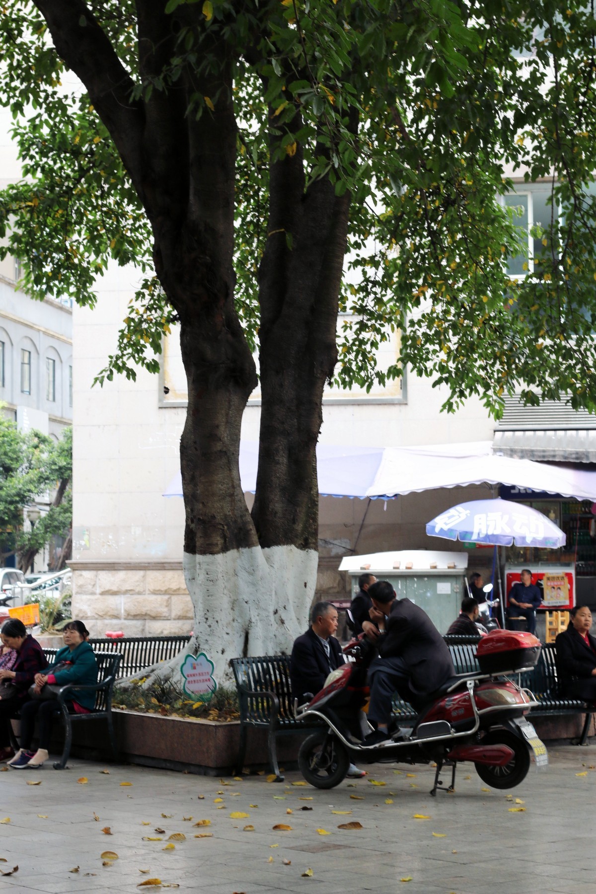 铁牛广场市民生活-竖拍图之五