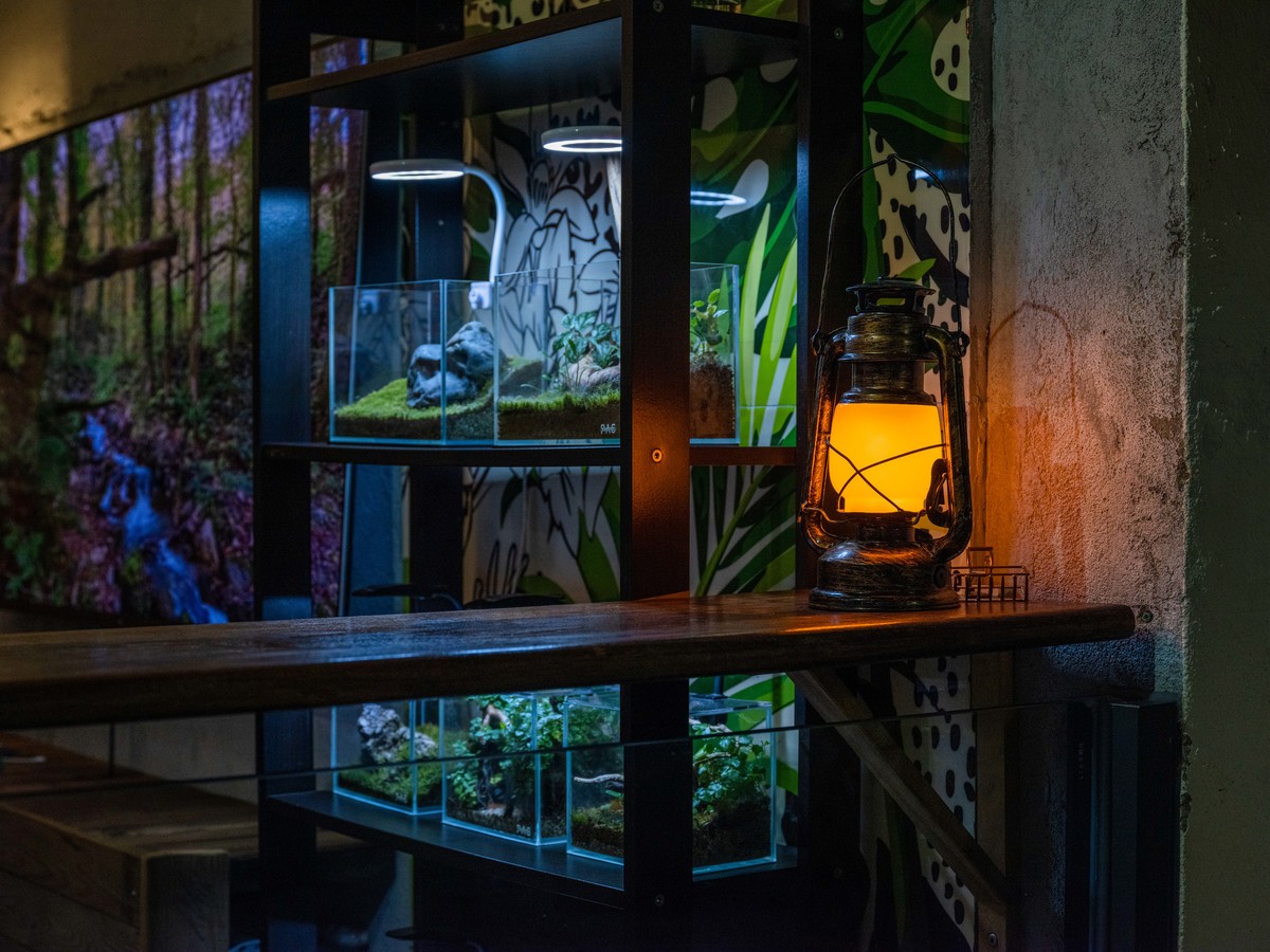 GFX50Sii+GF 45-100 F4.0 ( 试高感-防抖-手持拍摄 )