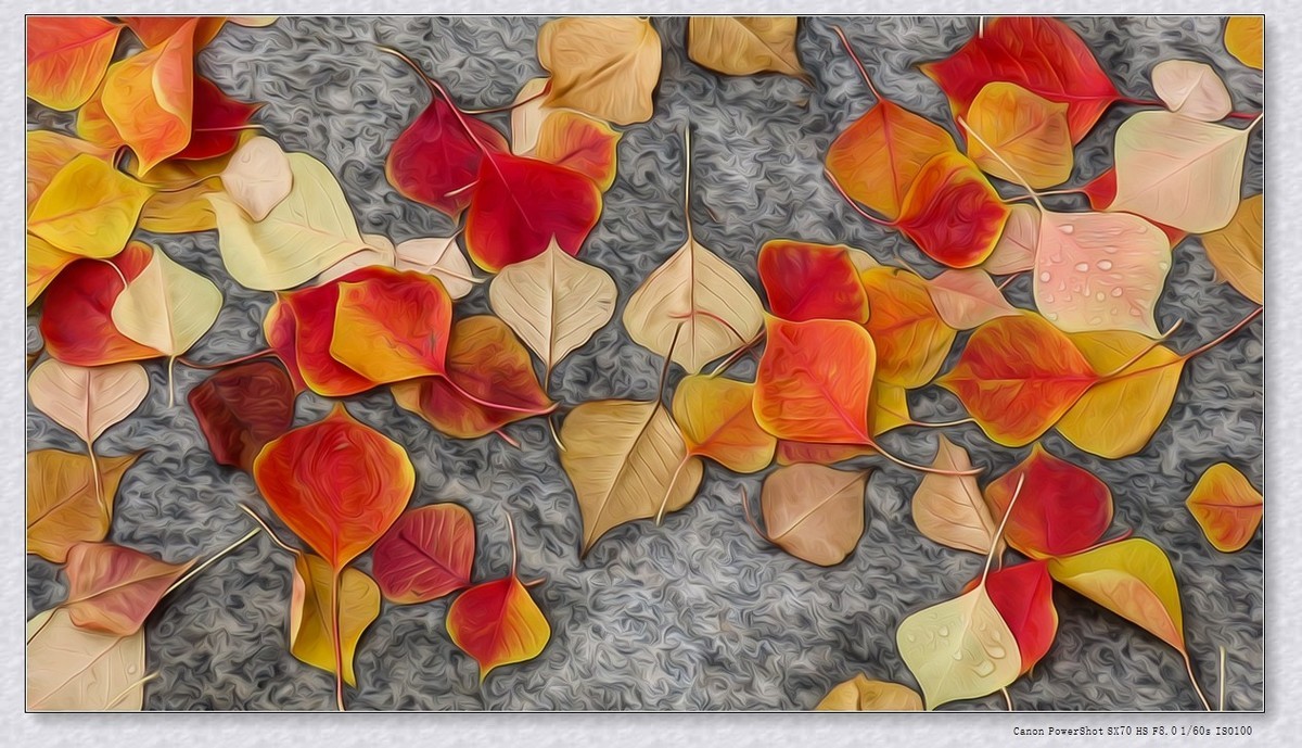 #遇见最美秋叶#----一叶一菩提