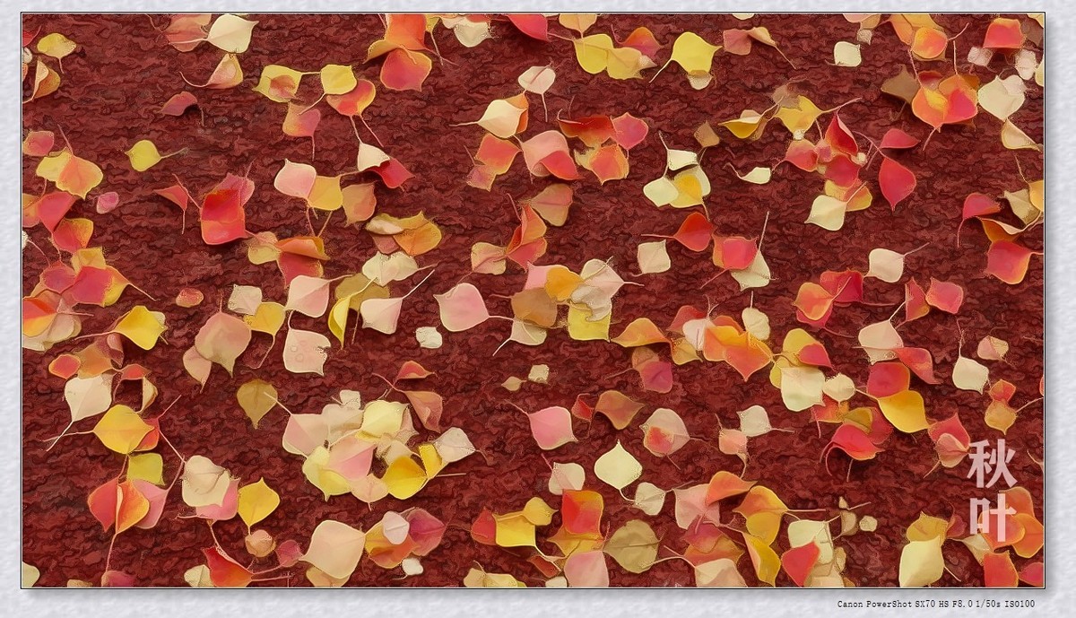 #遇见最美秋叶#----一叶一菩提