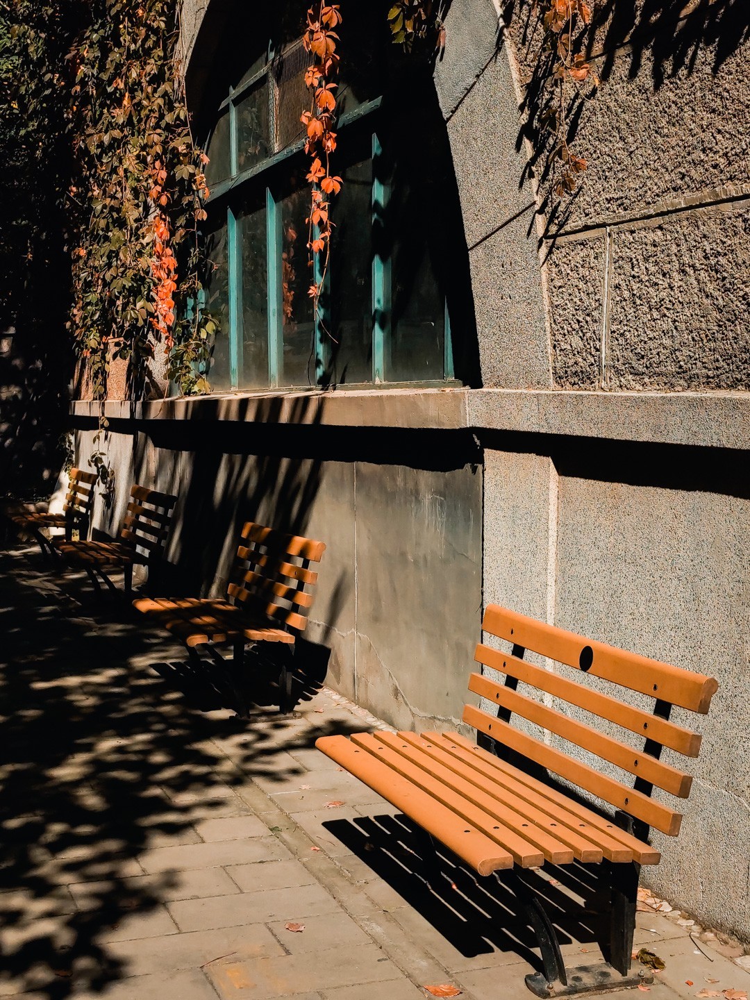 #留住美丽秋天#