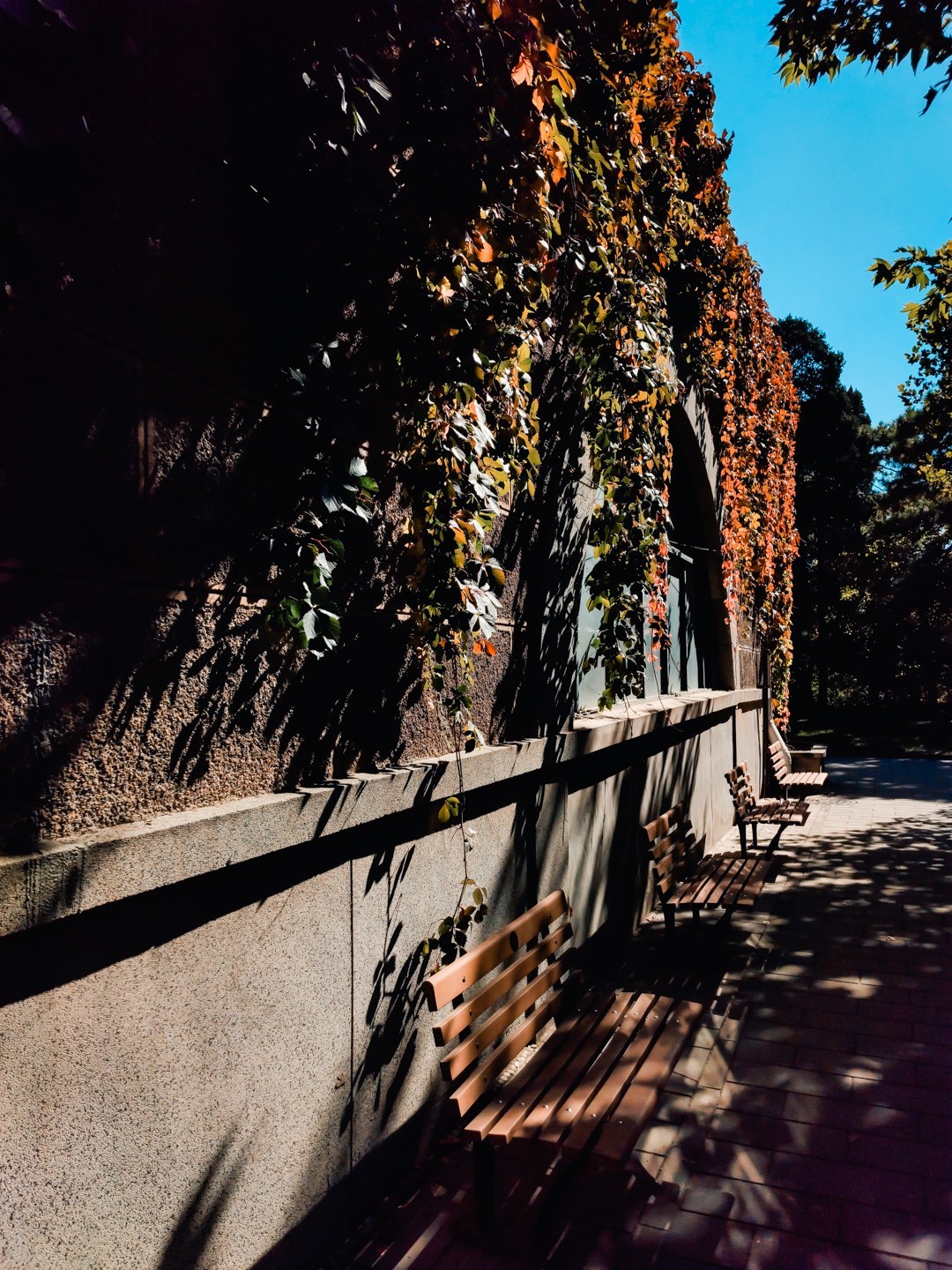 #留住美丽秋天#