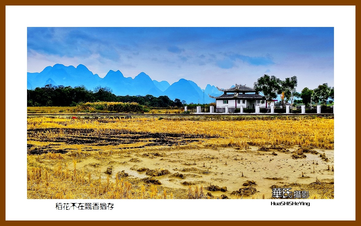 2021南行慢游广西019稻花不在飘香犹存柳州市柳城县古砦仫佬族乡