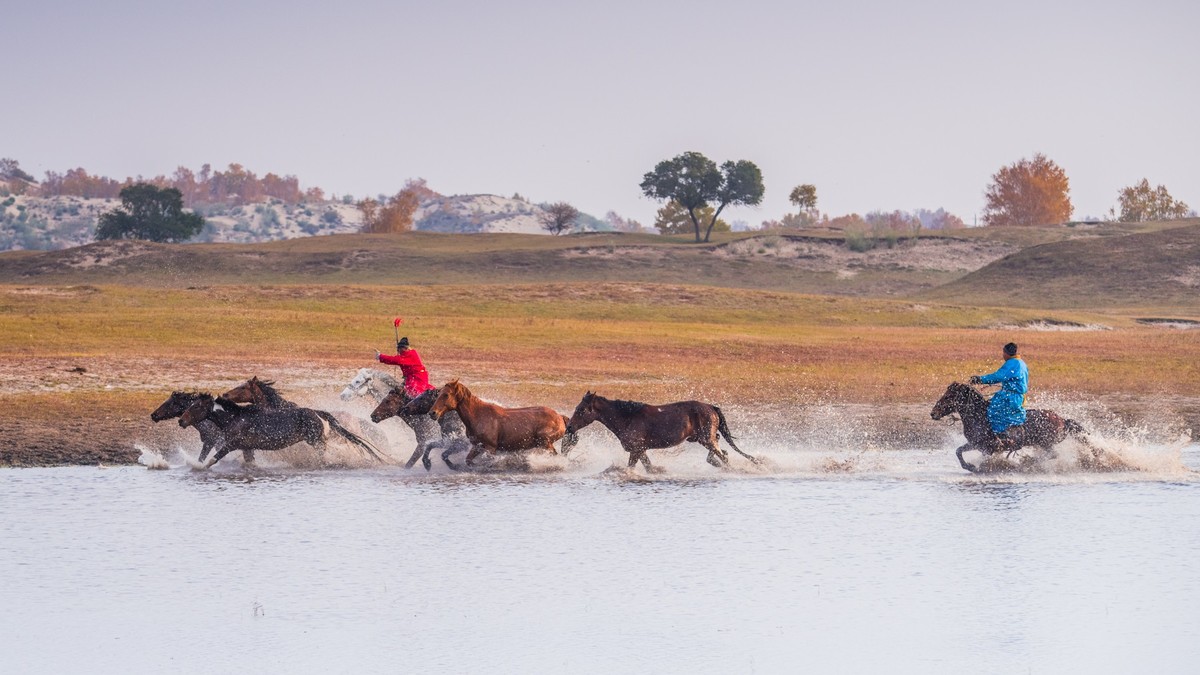 克什克腾旗------疾马飞浪