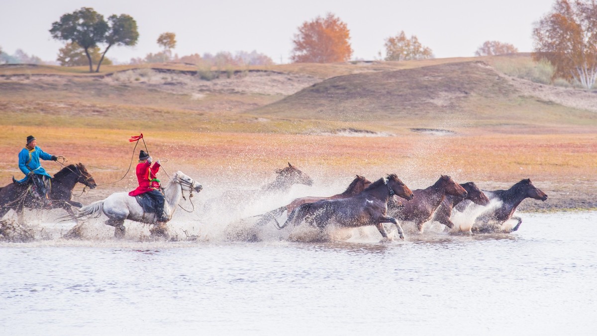 克什克腾旗------疾马飞浪