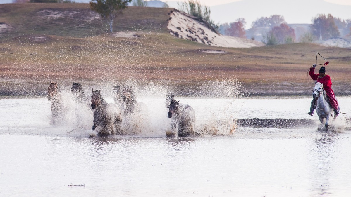 克什克腾旗------疾马飞浪