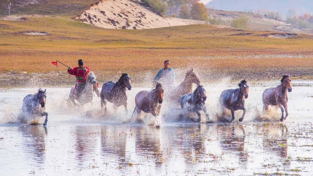 克什克腾旗------疾马飞浪