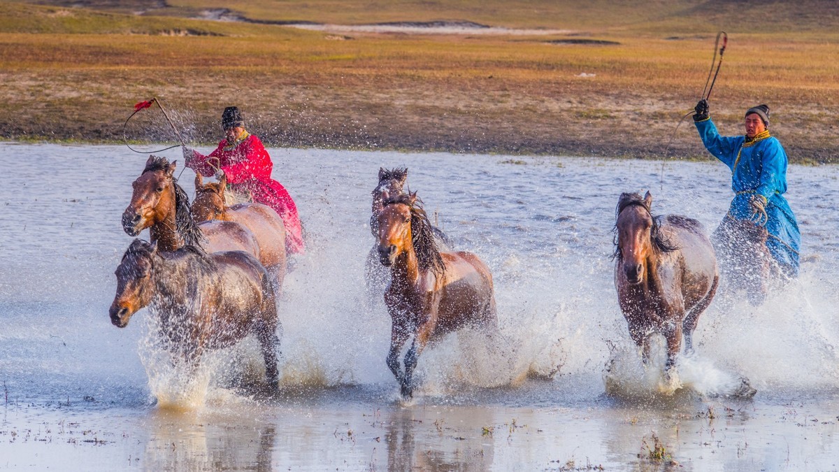克什克腾旗------疾马飞浪
