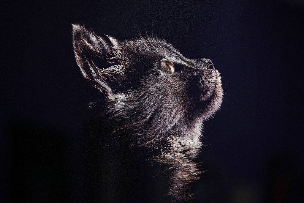 锦绣中国--刺绣公共教育展