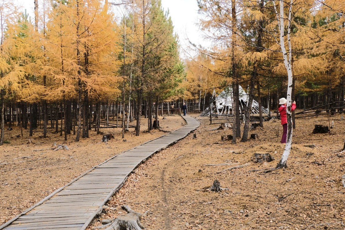 秋天的景色（二）