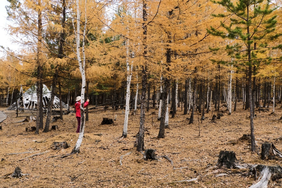 秋天的景色（二）