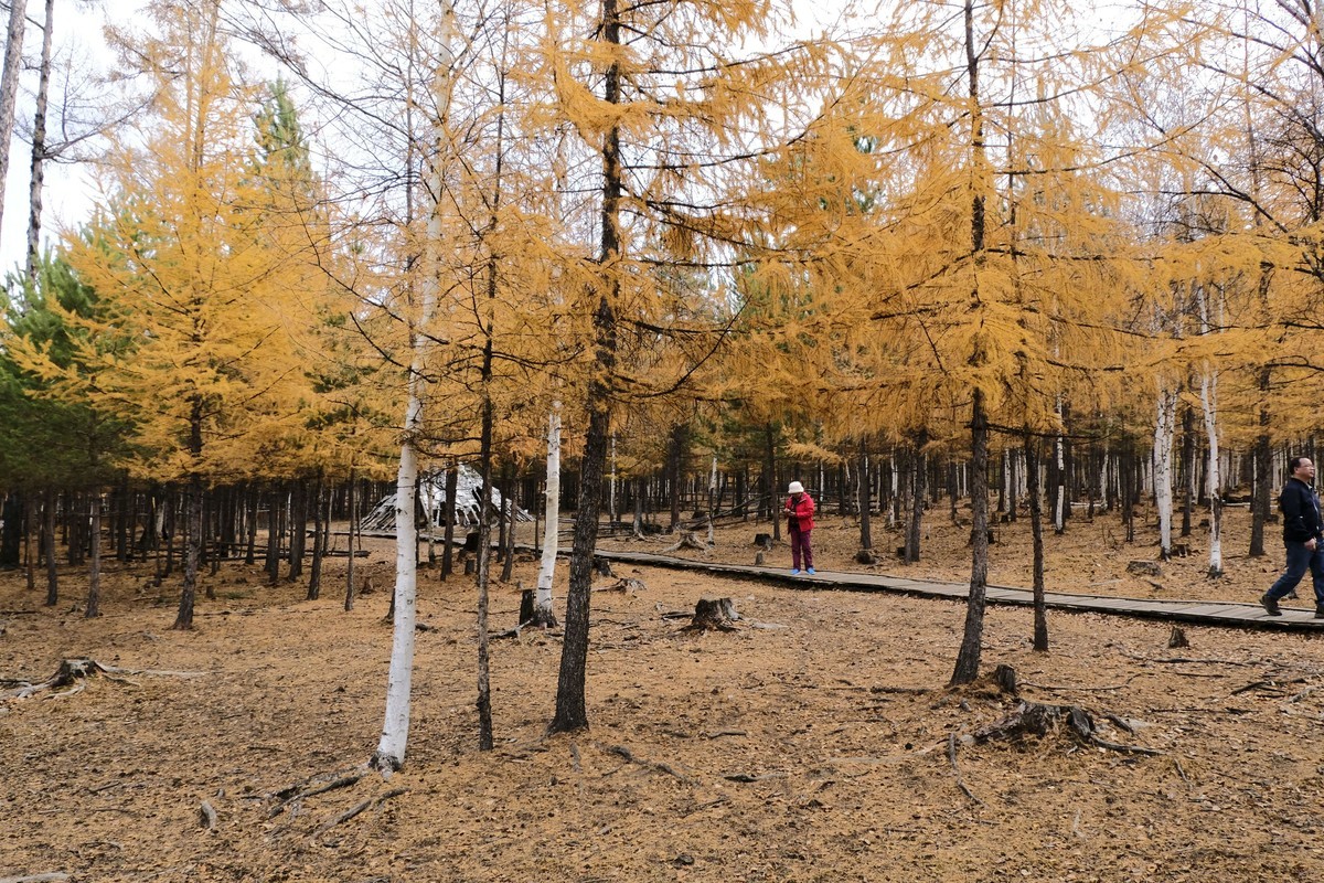 秋天的景色（二）