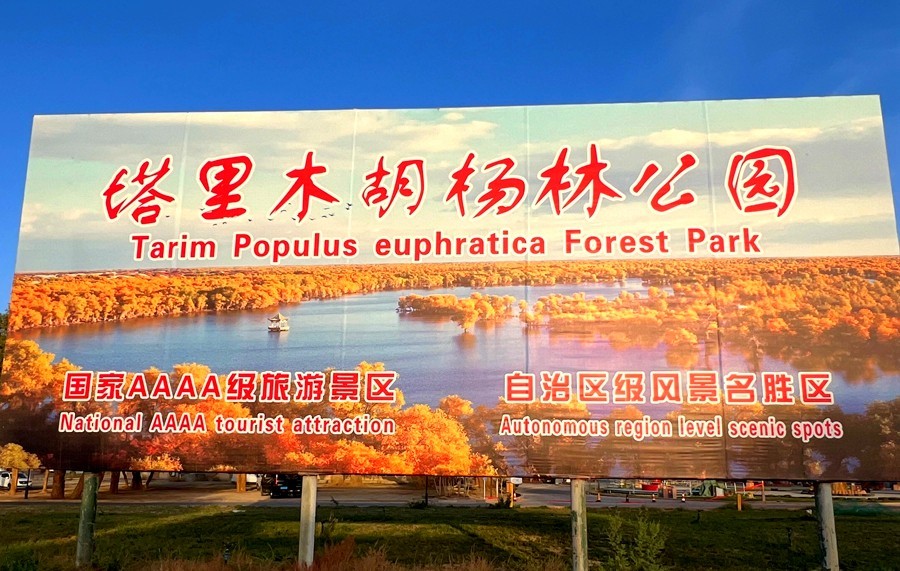 《不老松：纪实摄影》【山河锦绣】南疆游摄：塔里木胡杨林公园 ！ (6)