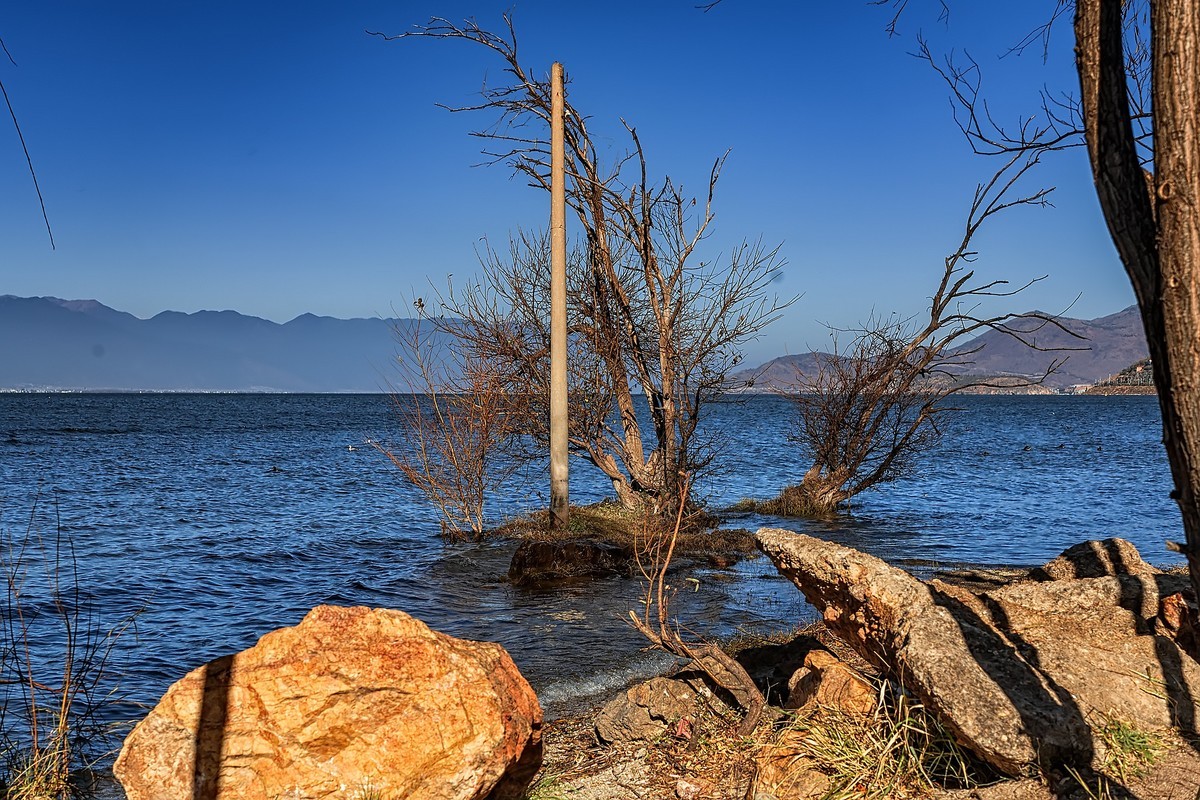 大理洱海 · 玉白菜湿地