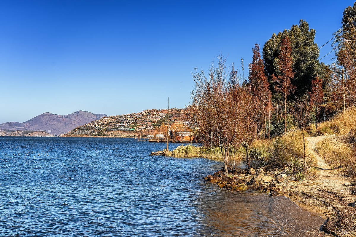 大理洱海 · 玉白菜湿地