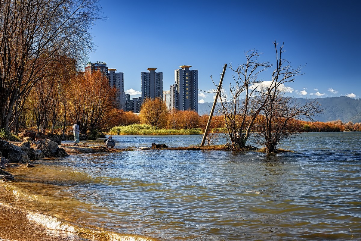 大理洱海 · 玉白菜湿地