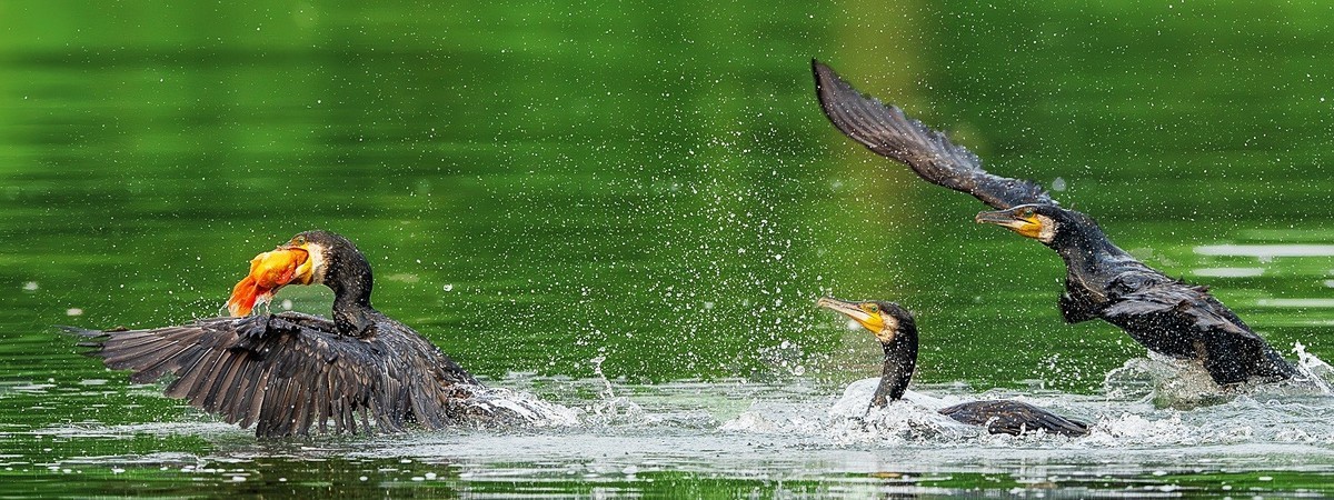 告别春节的闲适，奋斗的号角已经奏响，牛马们收心聚力，重新出发吧！
