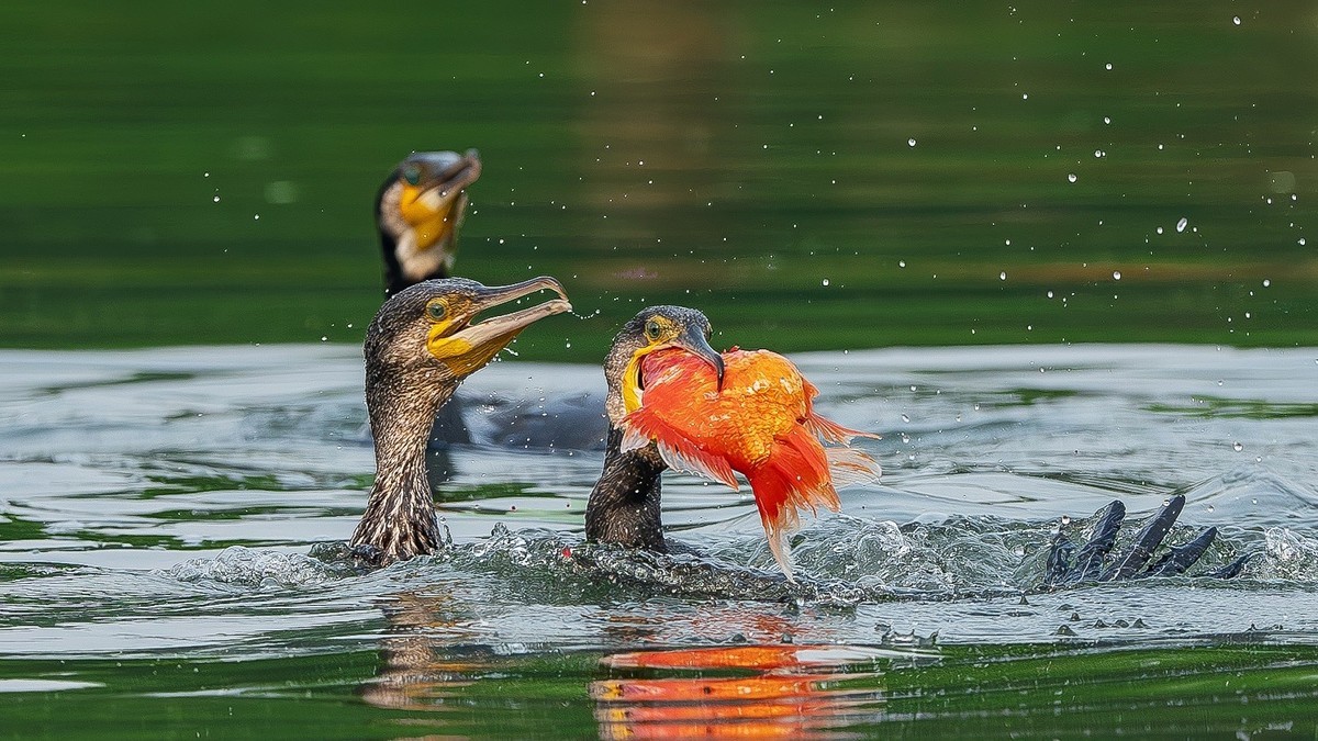 告别春节的闲适，奋斗的号角已经奏响，牛马们收心聚力，重新出发吧！