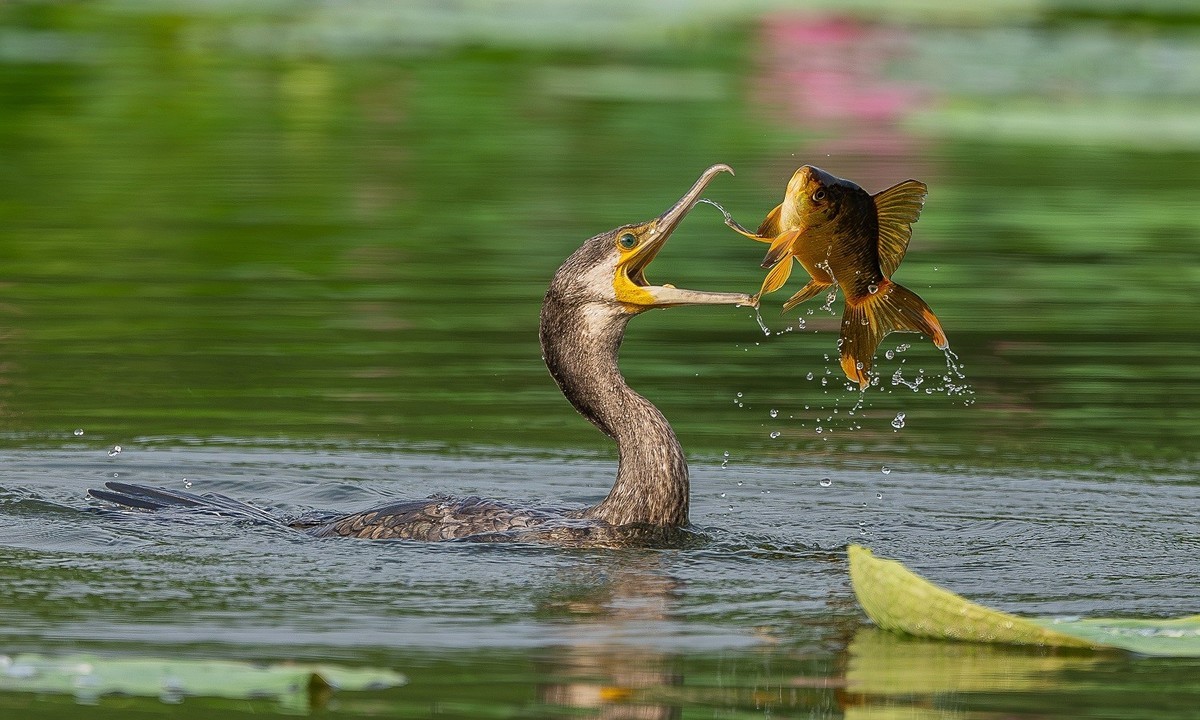 告别春节的闲适，奋斗的号角已经奏响，牛马们收心聚力，重新出发吧！