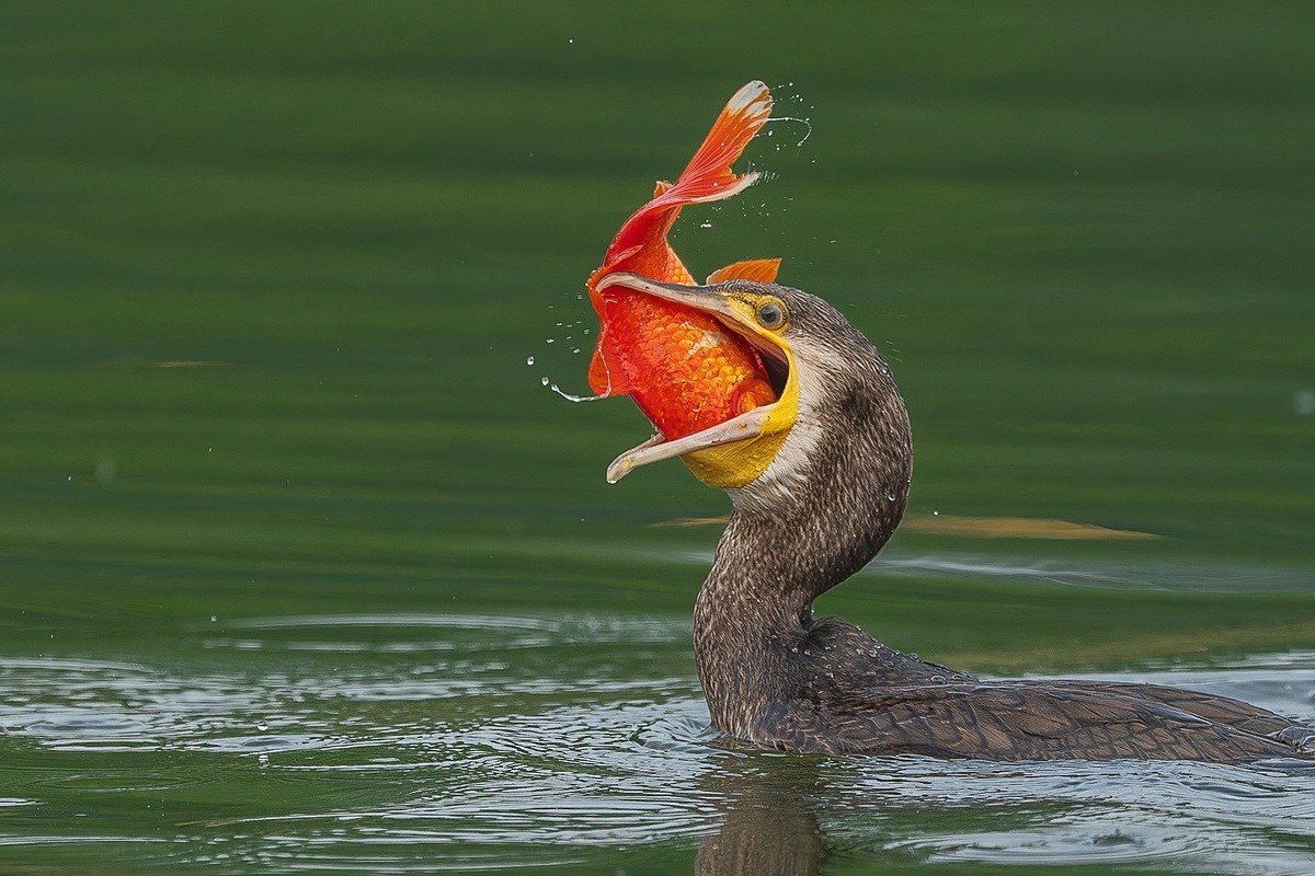 告别春节的闲适，奋斗的号角已经奏响，牛马们收心聚力，重新出发吧！