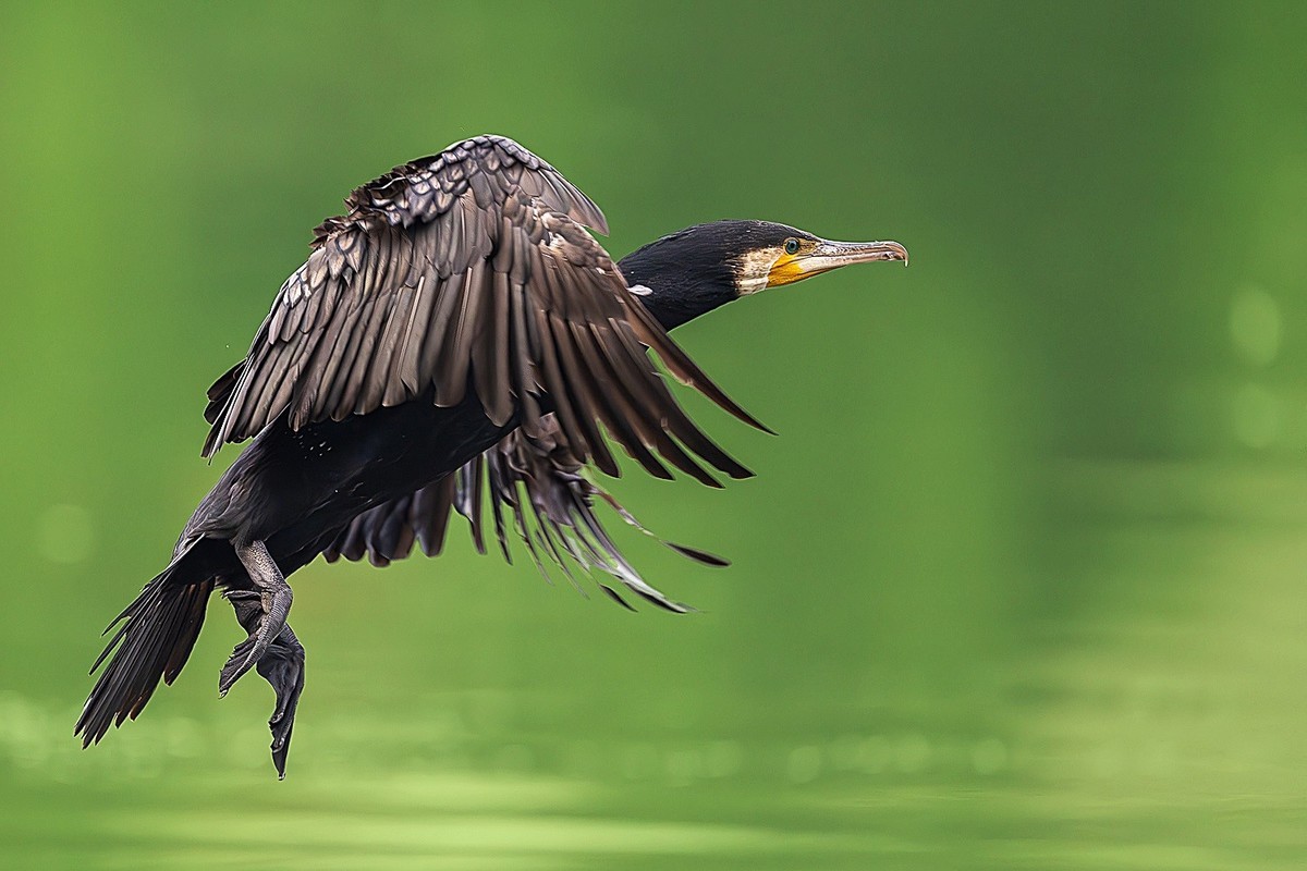 告别春节的闲适，奋斗的号角已经奏响，牛马们收心聚力，重新出发吧！