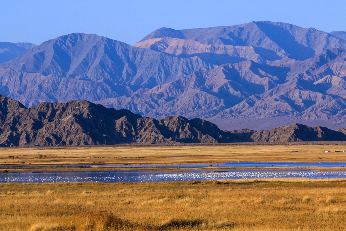 我只是把出去看到的随手记录下来（九十三）