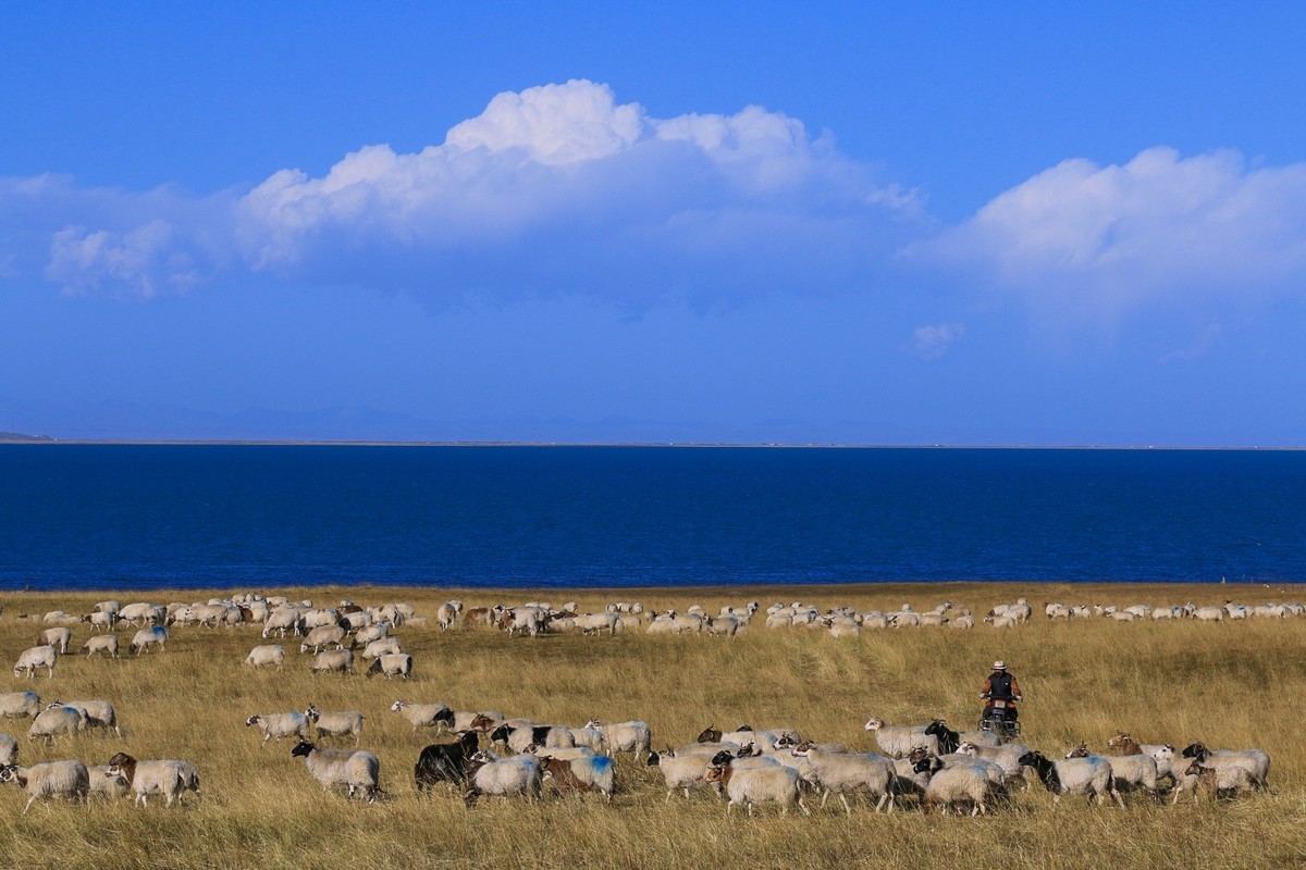 我只是把出去看到的随手记录下来（九十三）