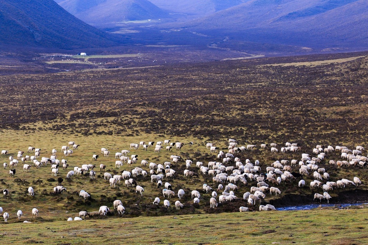 我只是把出去看到的随手记录下来（九十三）