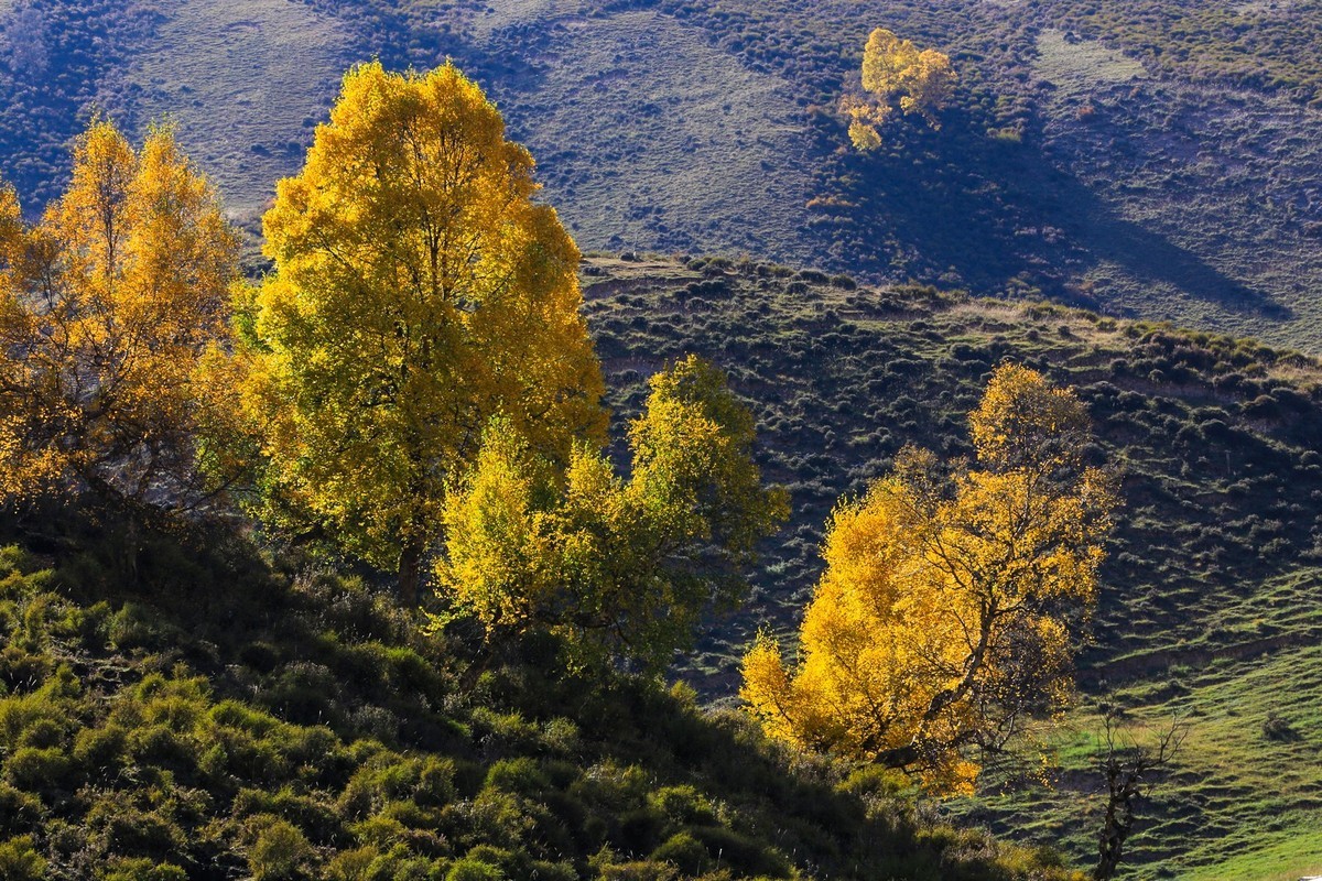 我只是把出去看到的随手记录下来（九十三）
