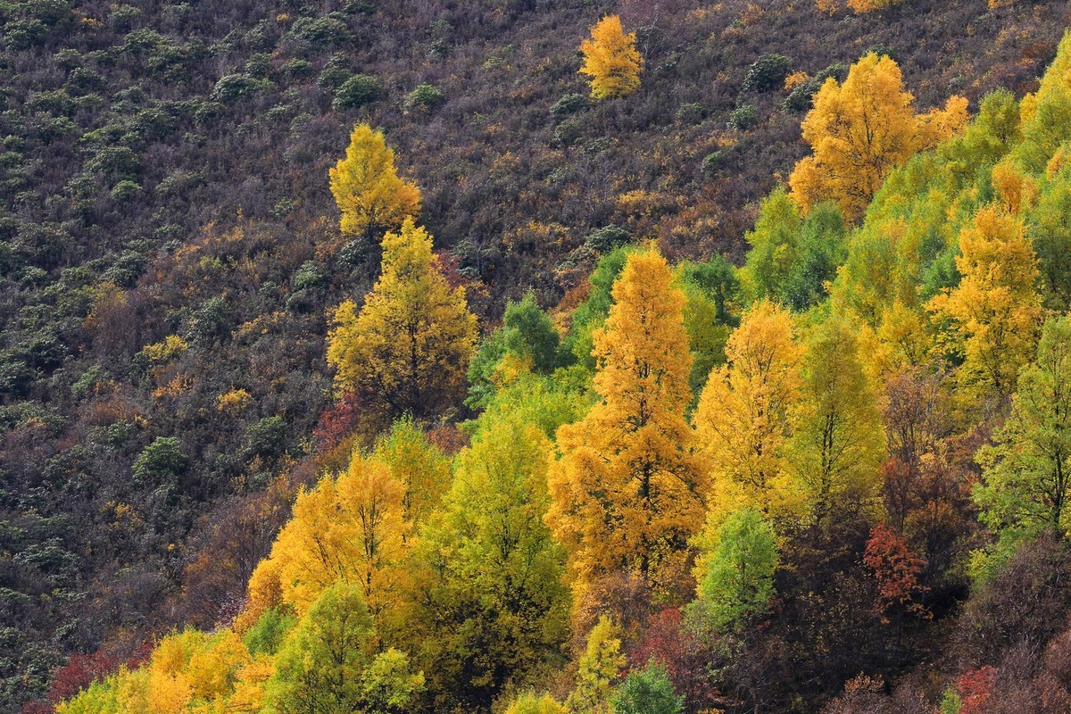 我只是把出去看到的随手记录下来（九十三）