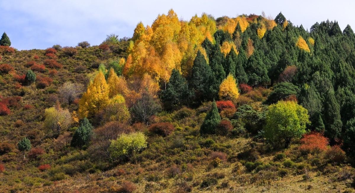 我只是把出去看到的随手记录下来（九十三）