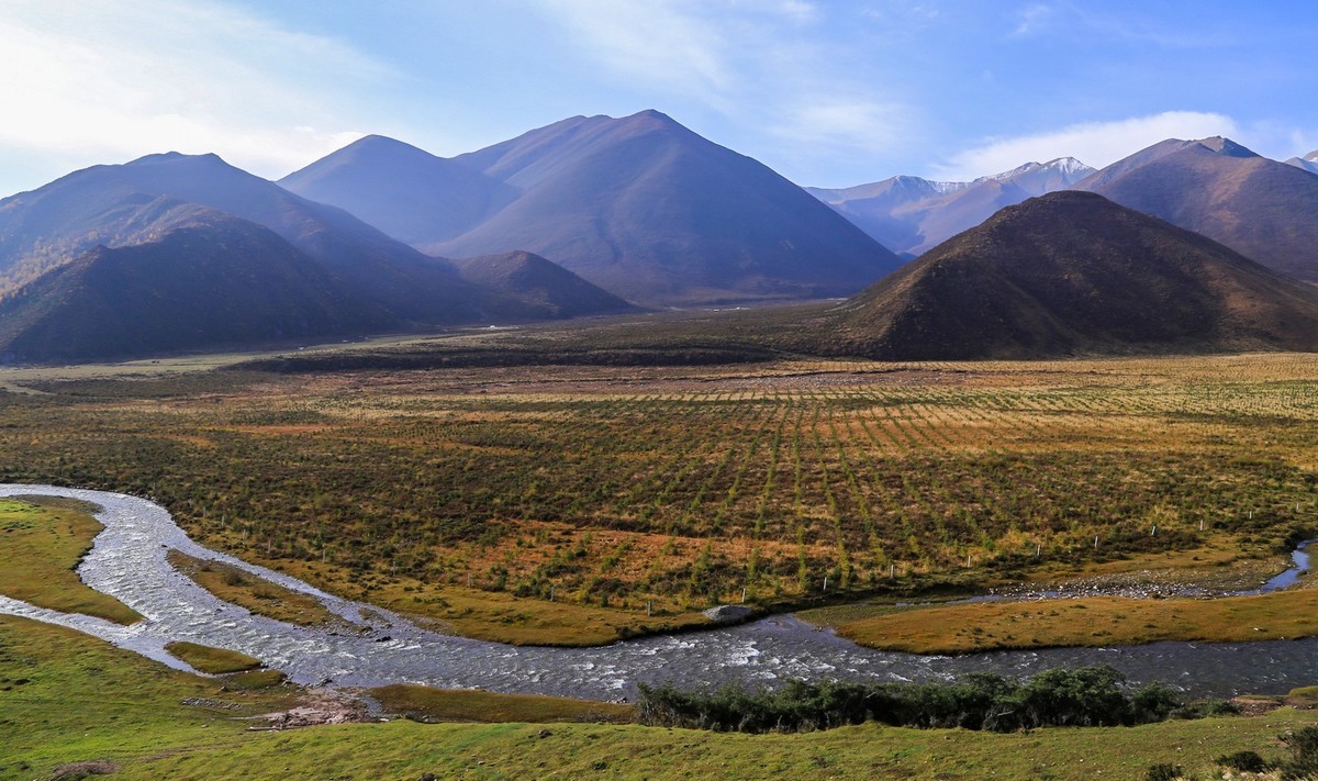 我只是把出去看到的随手记录下来（九十三）