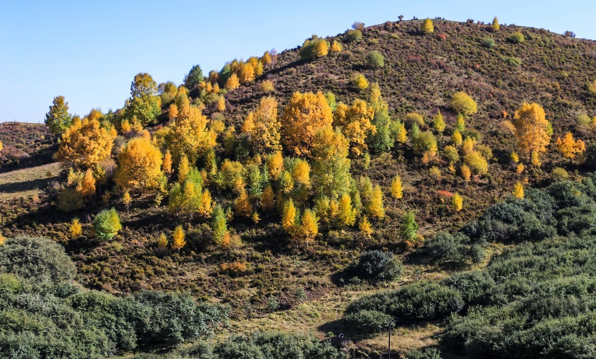 我只是把出去看到的随手记录下来（九十三）