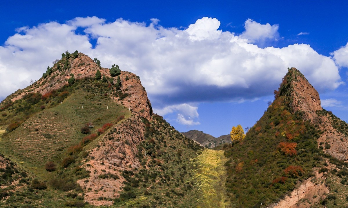 我只是把出去看到的随手记录下来（九十三）