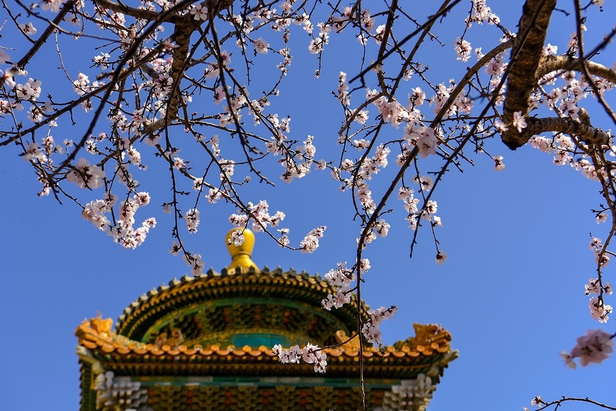 2025年第0214贴-北海公园风光游拍（0331）