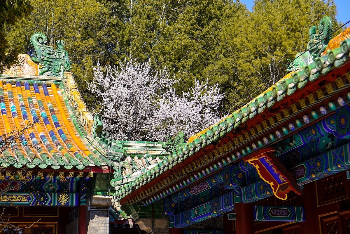 2025年第0214贴-北海公园风光游拍（0331）