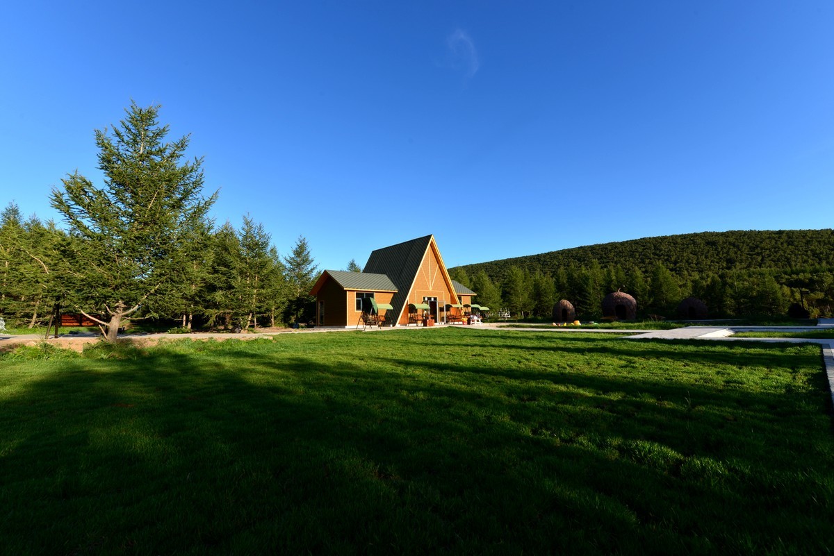 坝上阿勒泰？北纬42°七彩森林，七色松针织就绿野地毯