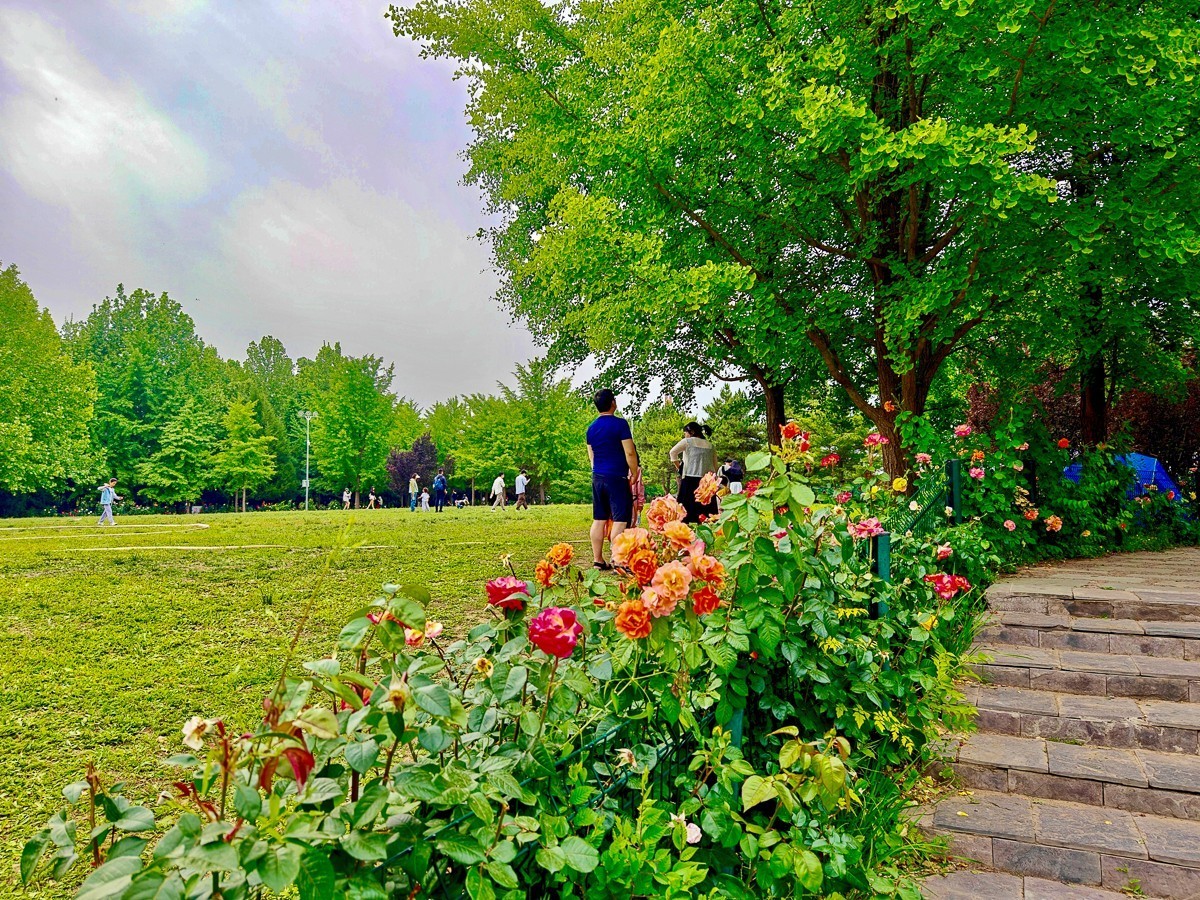 公园和夜景（手机拍摄）