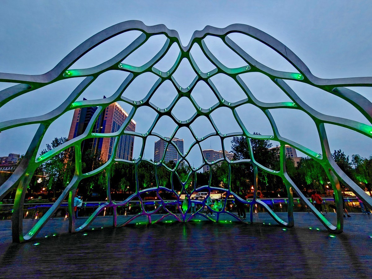 公园和夜景（手机拍摄）