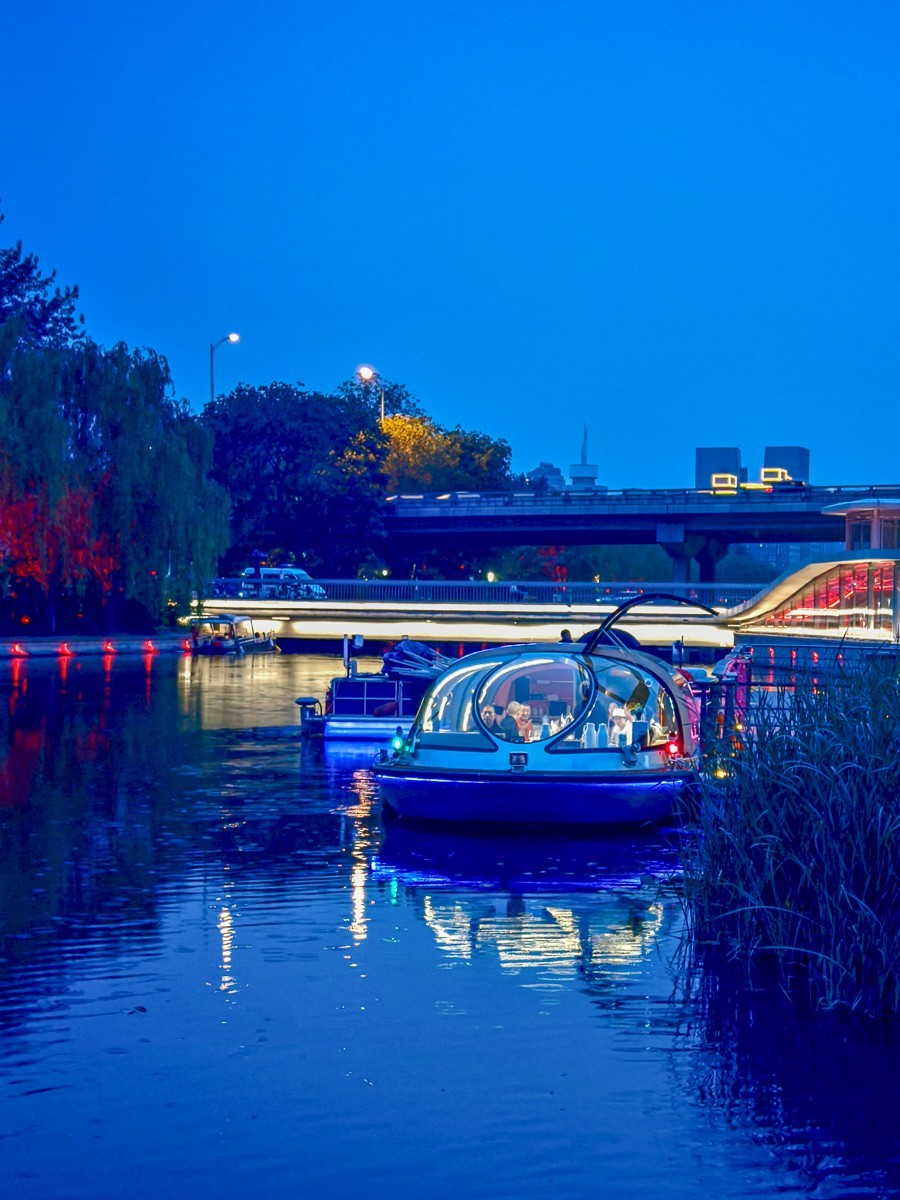 公园和夜景（手机拍摄）