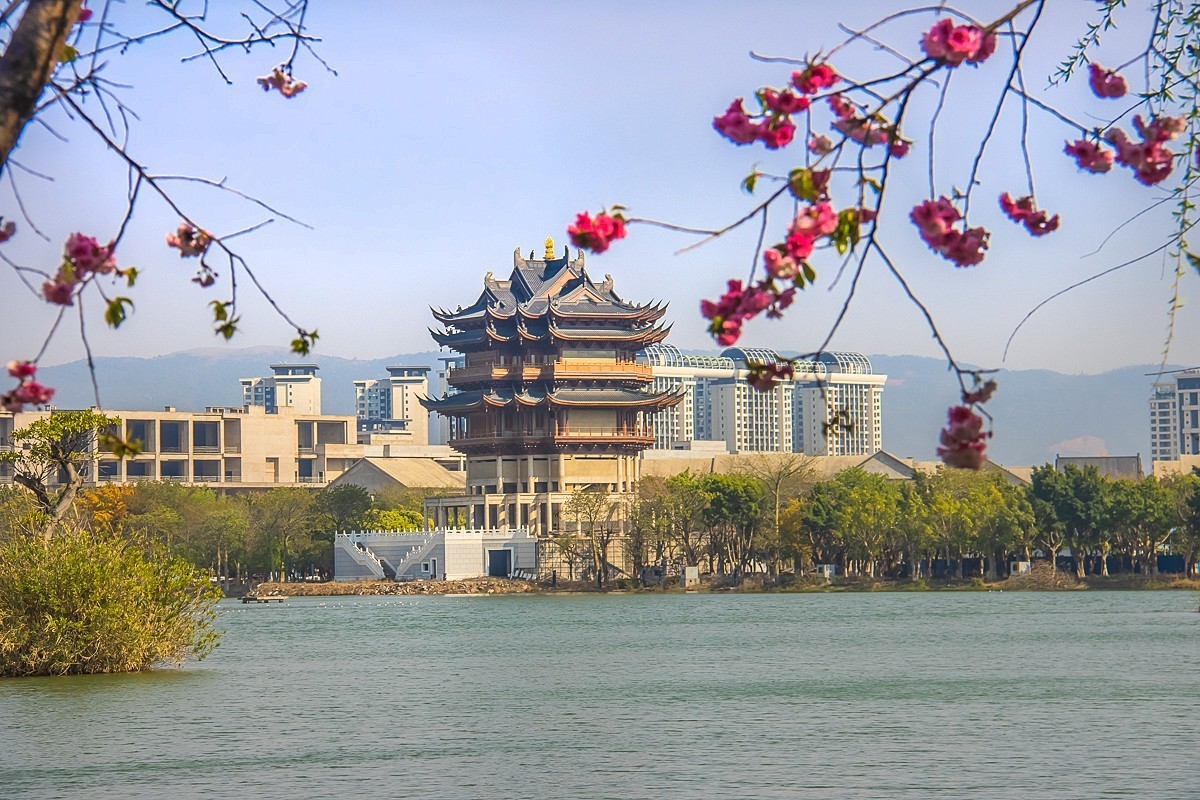 2025-06-15云南弥勒红河水乡（一）