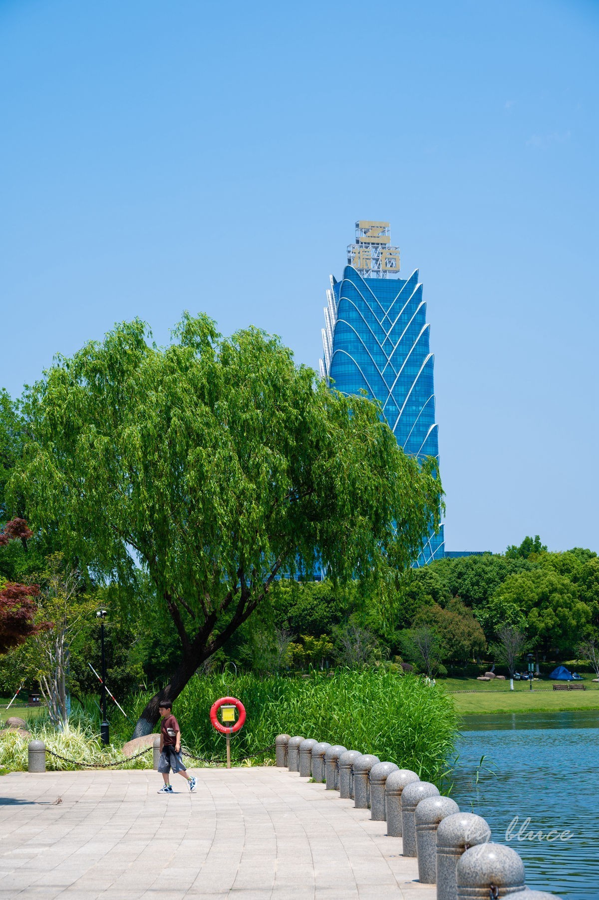 夏日凤凰湖（1）