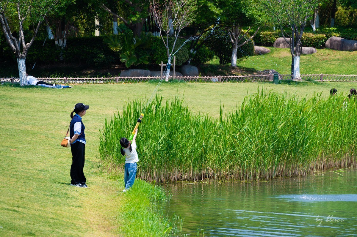 夏日凤凰湖（1）