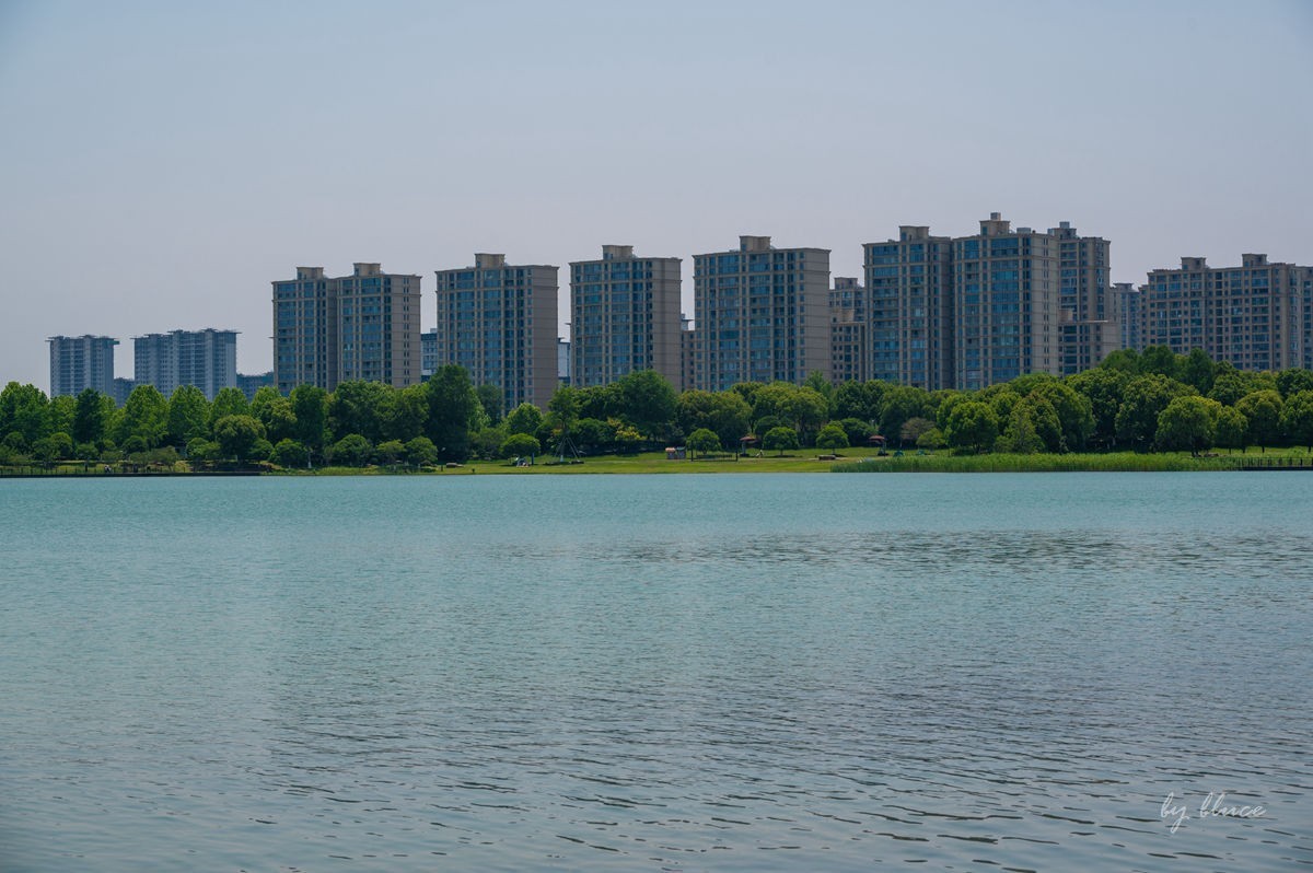 夏日凤凰湖（1）